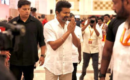ഗോവധ നിരോധനത്തിനെതിരെ രണ്ടും കൽപ്പിച്ച് വിജയ് സർക്കാർ; മദ്രാസ് ഹൈക്കോടതി വിധിക്കെതിരെ സുപ്രീം കോടതിയിൽ