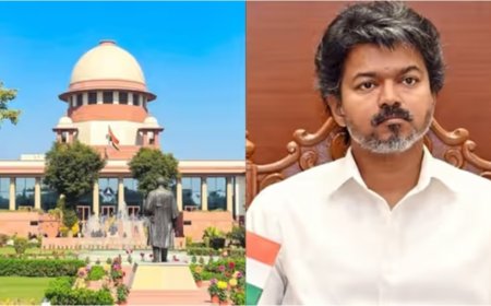 ഹൈക്കോടതി വിധി സുപ്രീം കോടതി തടഞ്ഞു; തമിഴ്‌നാട്ടിൽ ഗോവധ നിരോധനം നീങ്ങി, വിജയ് സർക്കാരിന് വൻ ജയം!