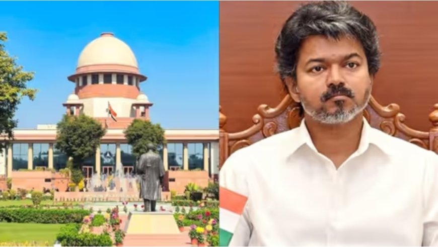 ഹൈക്കോടതി വിധി സുപ്രീം കോടതി തടഞ്ഞു; തമിഴ്‌നാട്ടിൽ ഗോവധ നിരോധനം നീങ്ങി, വിജയ് സർക്കാരിന് വൻ ജയം!